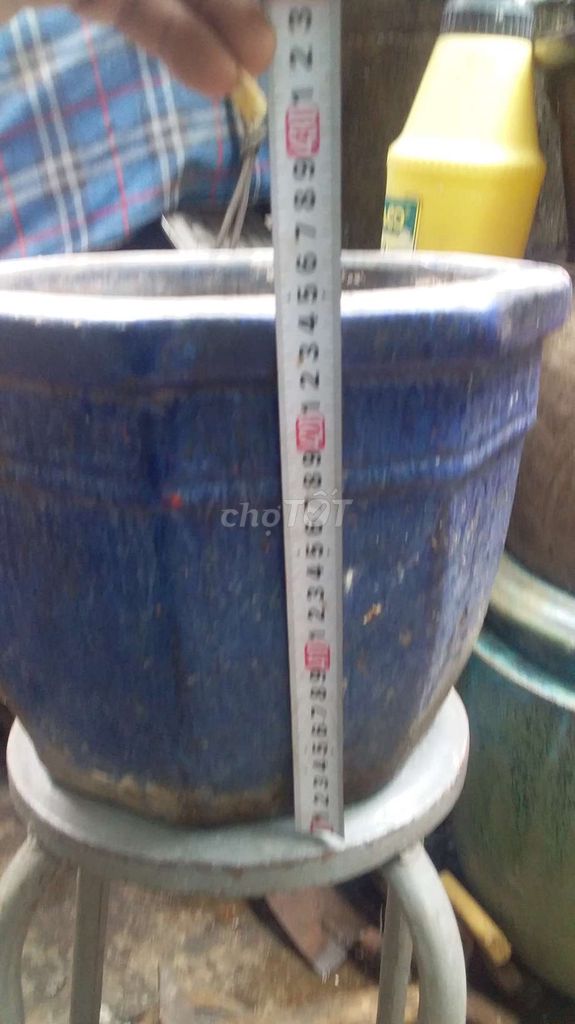 Chậu cây gốm sứ bát giác . Mua bán Cây cảnh, đồ trang trí tại Quận 12 Tp Hồ Chí Minh được đăng bởi Bé  hình 1