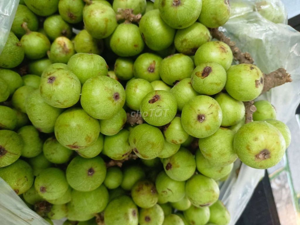 Sung nếp tươi mới hái. Mua bán Đồ ăn, thực phẩm và các loại khác tại Quận Cẩm Lệ Đà Nẵng được đăng bởi Ny  hình 1