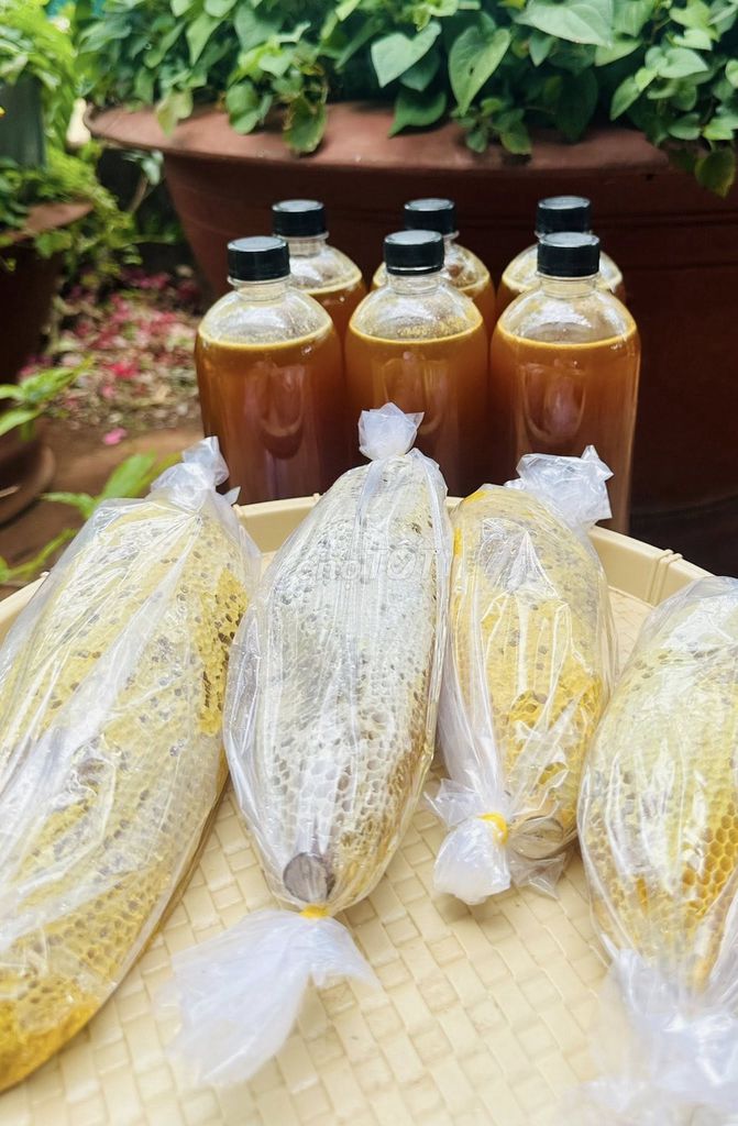 Mật ong rừng tự nhiên vừa xuống núi - Mật Xịn. Mua bán Đồ ăn, thực phẩm và các loại khác tại Huyện Thanh Trì Hà Nội được đăng bởi Mật ong Xịn hình 1