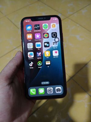 Điện thoại thông minh Apple iPhone 11 màu đỏ. Mua bán Điện thoại tại Thành phố Bạc Liêu Bạc Liêu được đăng bởi Tran Hao Nam