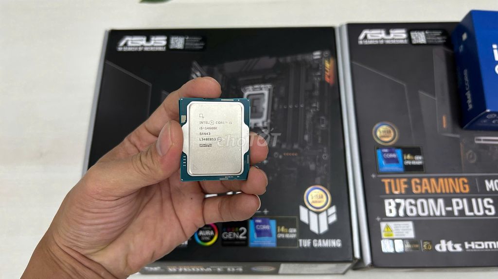 Combo full Asus B760M-E I5 14600K