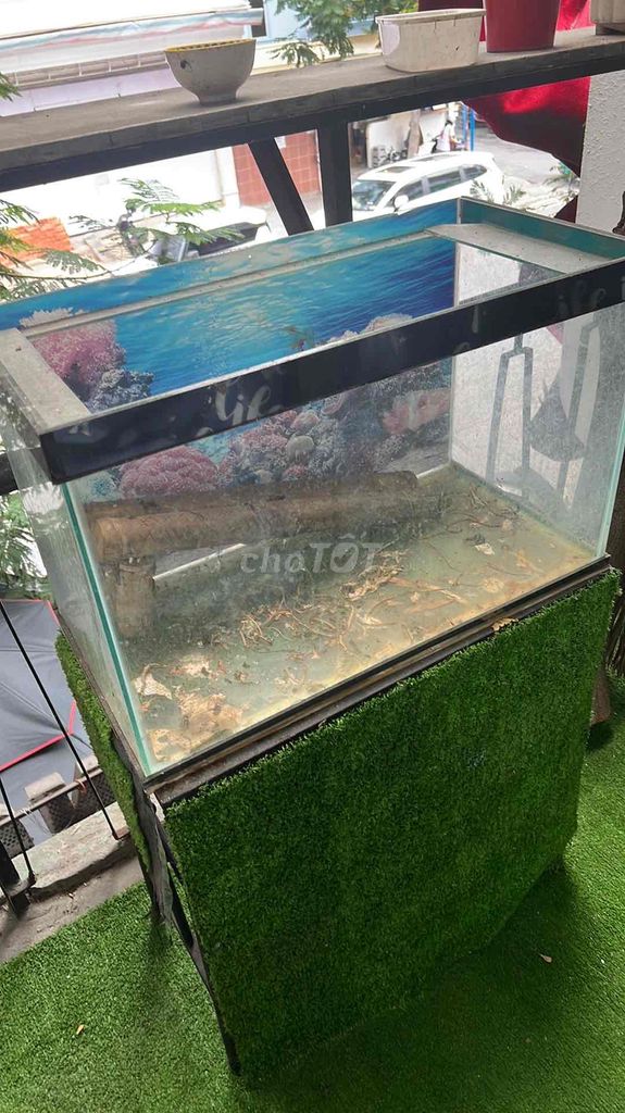 Hồ cá 60cm x 30cm. Mua bán Phụ kiện, Thức ăn, Dịch vụ tại Quận 1 Tp Hồ Chí Minh được đăng bởi Nhung hình 1