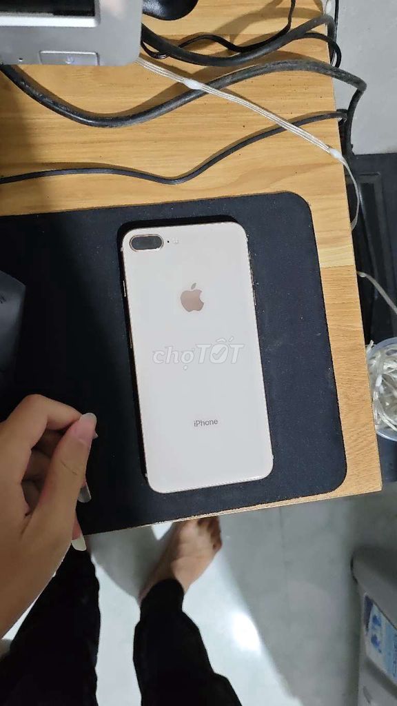 Apple iPhone 8 Plus 64GB Vàng. Mua bán Điện thoại tại Huyện Quế Võ Bắc Ninh được đăng bởi Minh Hoàng  hình 1