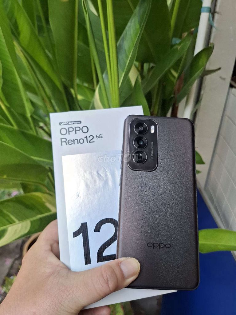 Oppo reno 12 5G ram12/256g fulbox. Có gl. Mua bán Điện thoại tại Quận 6 Tp Hồ Chí Minh được đăng bởi my hình 1