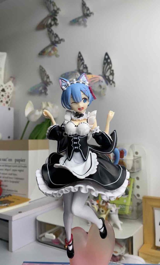 Pass mô hình Rem Cat