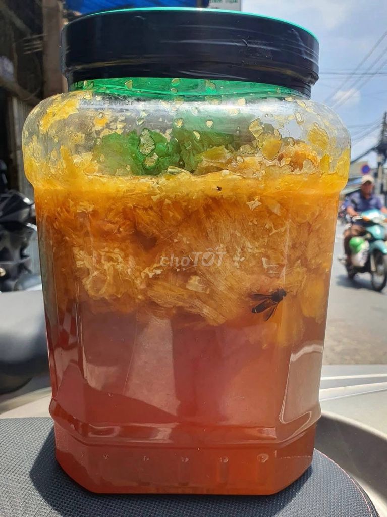 MẬT ONG TREO RỪNG nguyên chất, Tự Vắt Trải Nghiệm. Mua bán Đồ ăn, thực phẩm và các loại khác tại Quận Bình Tân Tp Hồ Chí Minh được đăng bởi Chang Chang hình 3
