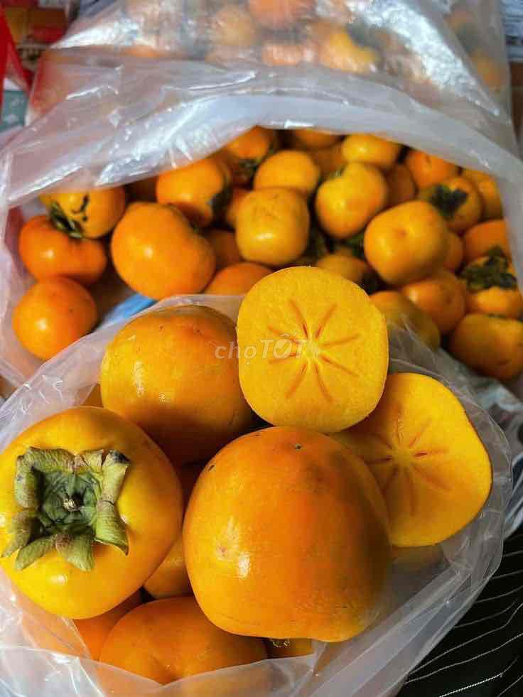 Cây giống Hồng giòn. Mua bán Đồ chuyên dụng, Giống nuôi trồng tại Huyện Sông Lô Vĩnh Phúc được đăng bởi Nhà vườn Ngọc Trang hình 1