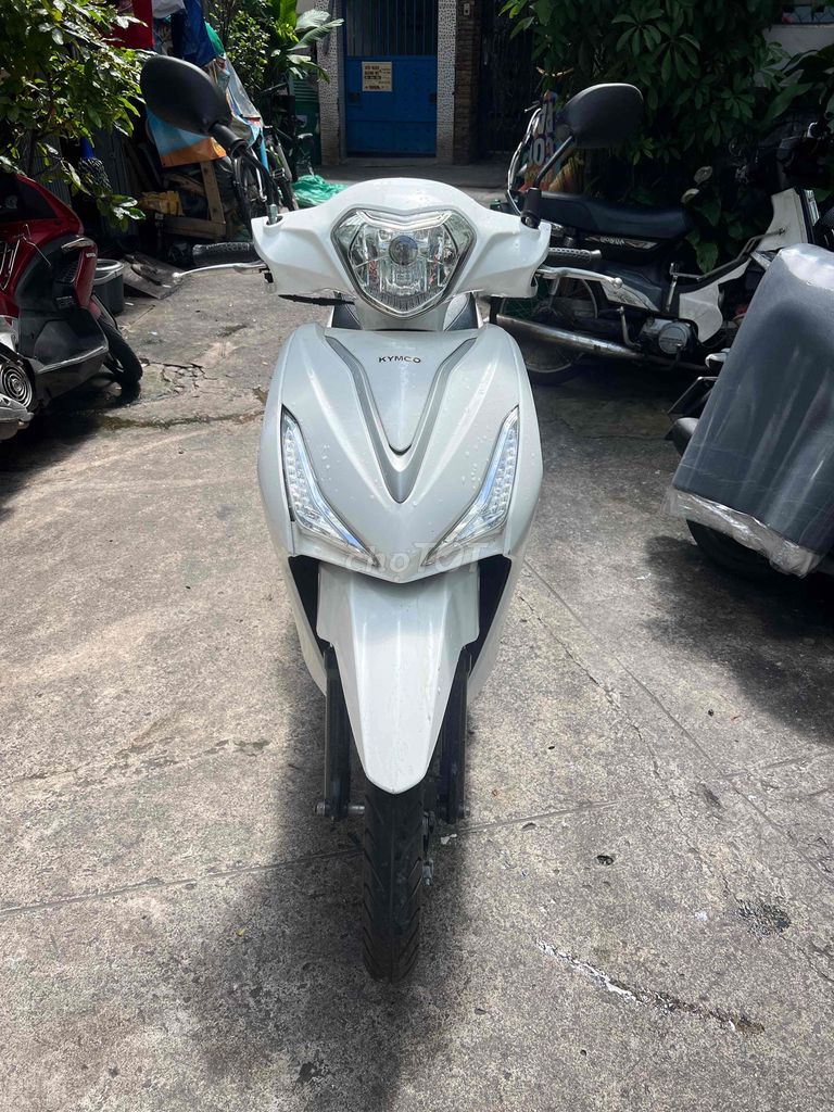 Kymco Candy Hermosa 2022 Белый