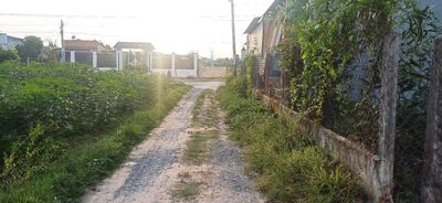 Đất gần xã và chợ long hải, chỉ 399 triệu. Thổ cư hết đất. Mua bán đất tại Huyện Hòa Thành Tây Ninh được đăng bởi Nhà Đất Lê Nam