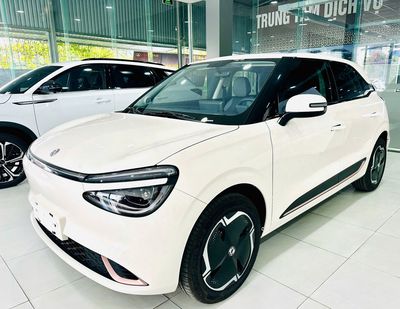 Xe điện BOX cạnh tranh với VF6,chỉ 68tr nhận xe. Mua bán Ô tô tại Quận 6 Tp Hồ Chí Minh được đăng bởi GAC Motor Miền Nam