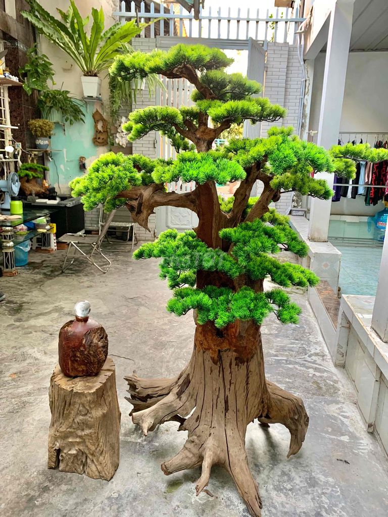 Cần bán cây tùng giả cho anh em decor gốc nhà. Mua bán Cây cảnh, đồ trang trí tại Quận Bình Thạnh Tp Hồ Chí Minh được đăng bởi LED MOTO hình 1