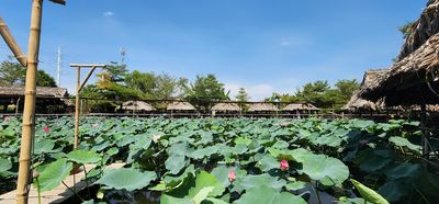 /viec-lam-thanh-pho-thu-duc-tp-ho-chi-minh/123489392.htm#px=SR-stickyad-[PO-3][PL-top]?i=0
