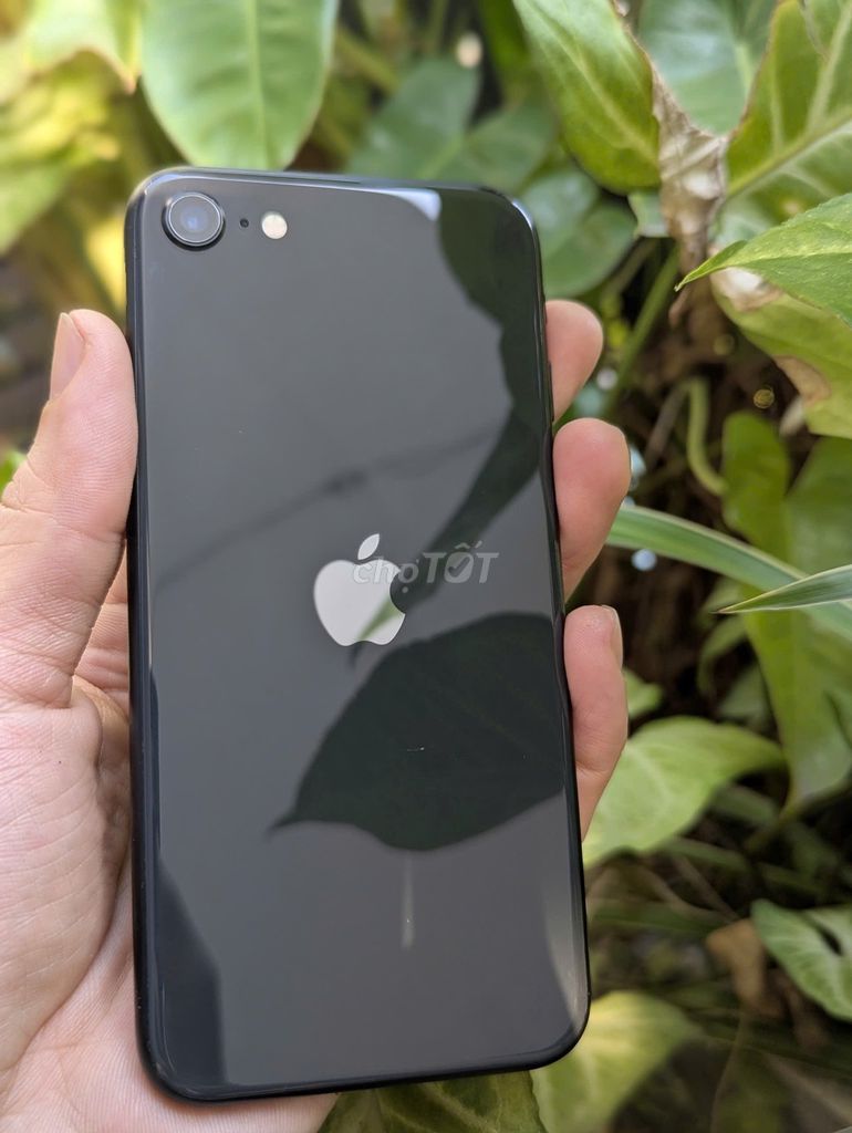 Ip SE2 64GB QT, 8 plus 64GB QT ios thấp, zin all. Mua bán Điện thoại tại Quận 12 Tp Hồ Chí Minh được đăng bởi Huy Nguyễn hình 1