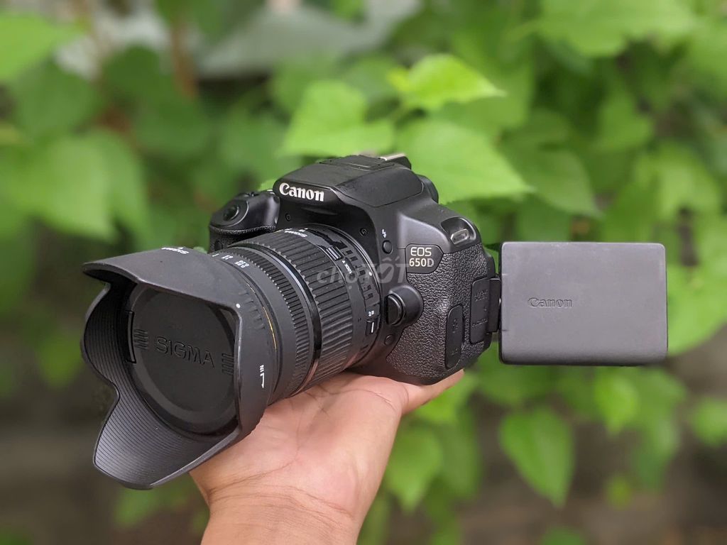[Máy ảnh KTS] Canon 650D Sigma 18-50mm F2.8 Đen. Mua bán Máy ảnh, Máy quay tại Quận 6 Tp Hồ Chí Minh được đăng bởi may anh KTS hình 1