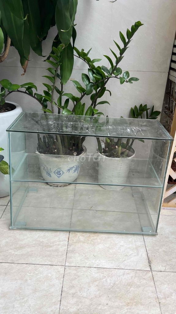 Tủ kính trưng bày. Mua bán Đồ chuyên dụng, Giống nuôi trồng tại Quận 3 Tp Hồ Chí Minh được đăng bởi Trâm hình 1