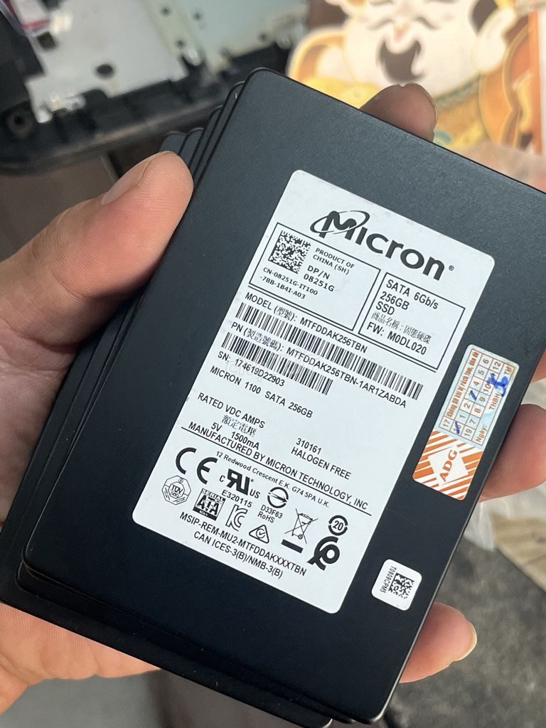 5 SSD micro 256G sk 100% hàng zin theo máy