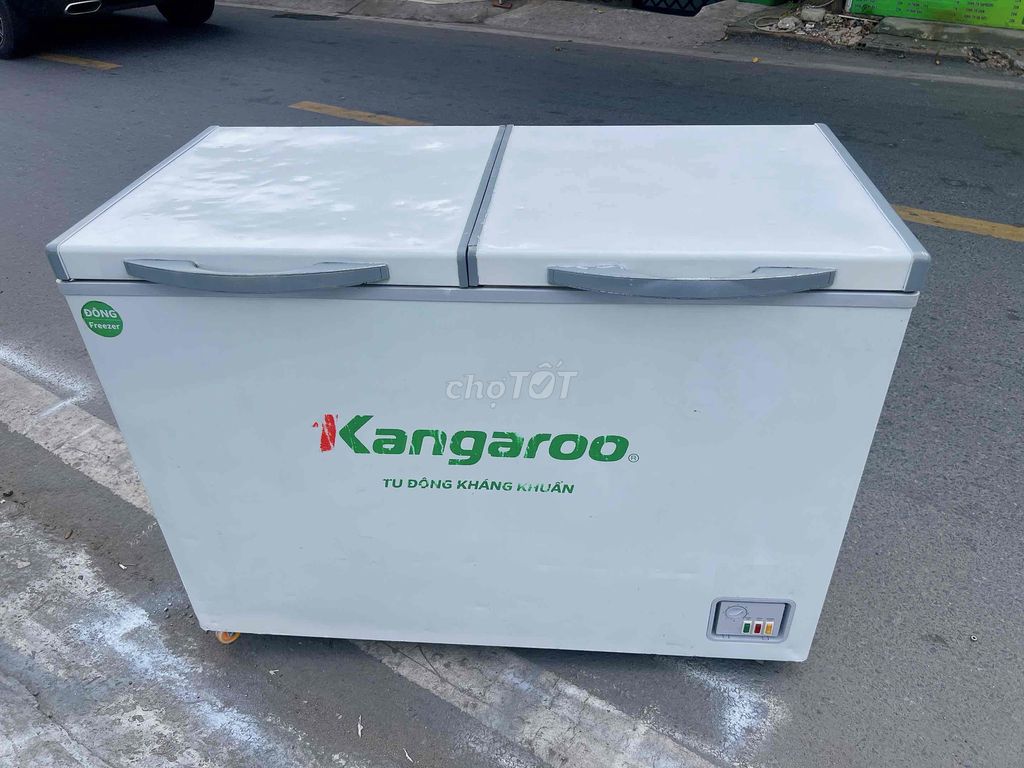 Tủ đông Kangaroo 300