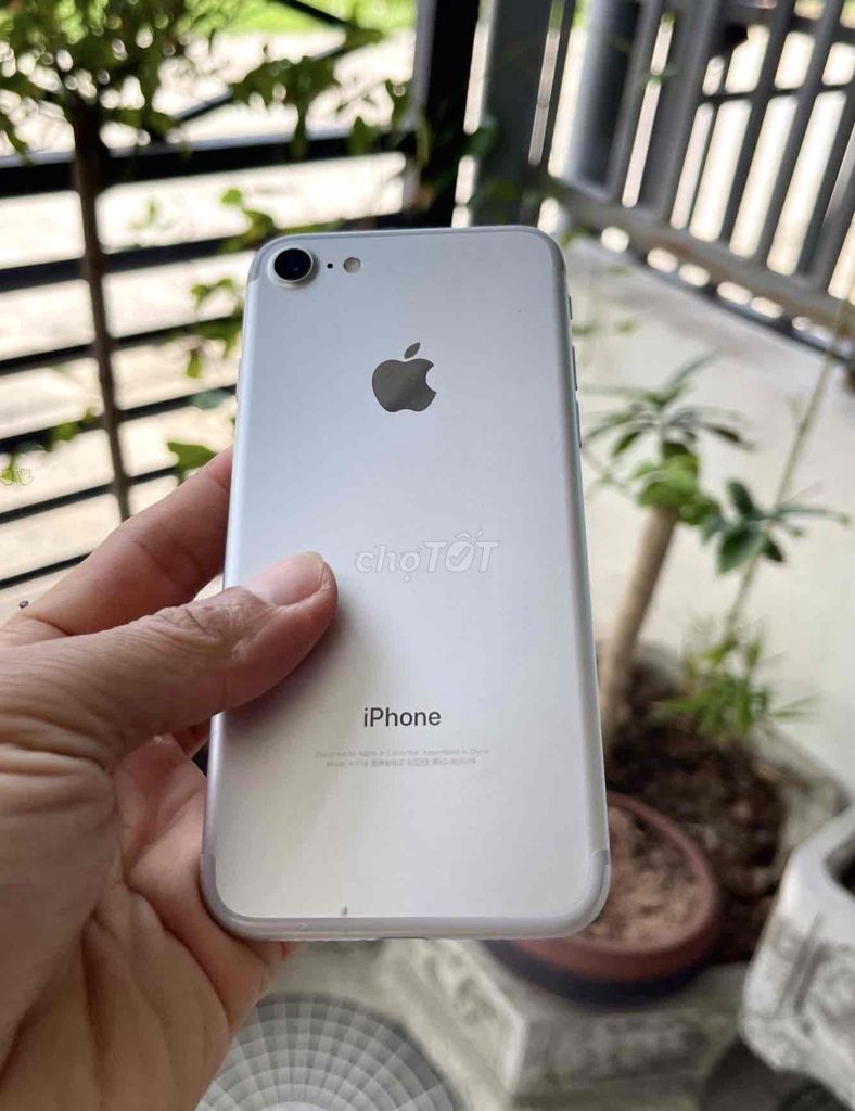 Apple iPhone 7 32GB Bạc Zin mượt. Mua bán Điện thoại tại Quận Gò Vấp Tp Hồ Chí Minh được đăng bởi Rephone Mobile hình 1