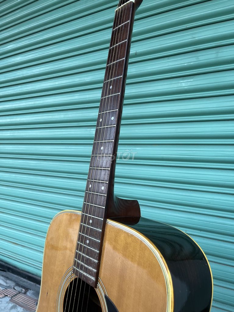 Guitar Morris W20