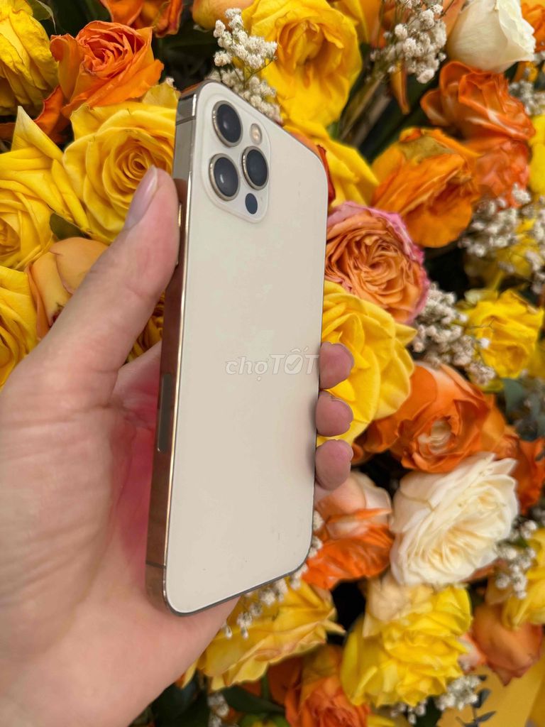 Apple iPhone 12 Pro 128GB Vàng quốc tế. Mua bán Điện thoại tại Quận Ninh Kiều Cần Thơ được đăng bởi everest hình 1