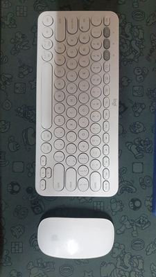 Combo bàn phím K360 + Magic Mouse full trắng