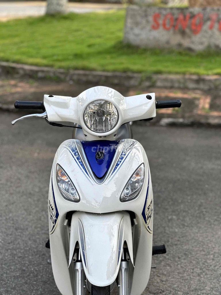SYM Angela 50cc 2019 Trắng, Xanh