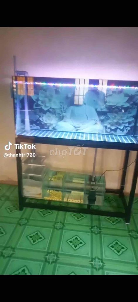 Bể cá cảnh Kính cường lực 10 li. Mua bán Phụ kiện, Thức ăn, Dịch vụ tại Huyện Xuyên Mộc Bà Rịa - Vũng Tàu được đăng bởi Thương Hoài hình 1