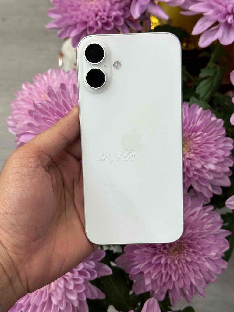 16 Plus 128GB Trắng VN Pin 95 Zin ốc Bh 5/2026 99. Mua bán Điện thoại tại Quận Ninh Kiều Cần Thơ được đăng bởi Quý Mobile Cần thơ hình 1