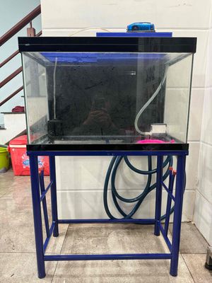 Hồ cá ngang 60 rộng 30 cao 45 bơm lọc mây oxy chân. Mua bán Phụ kiện, Thức ăn, Dịch vụ tại Thành phố Biên Hòa Đồng Nai được đăng bởi Khanh Store Apple