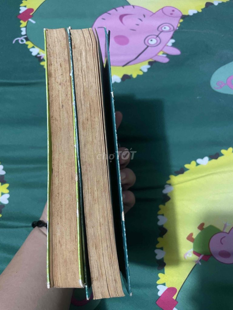 Sách Quán Gò Đi Lên. Mua bán Sách tại Thành phố Thủ Đức Tp Hồ Chí Minh được đăng bởi Phan Kim Vy hình 1