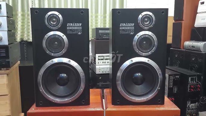 Loa Aiwa Strasser DS-F2 Đen. Mua bán Tivi, Âm thanh tại Quận 6 Tp Hồ Chí Minh được đăng bởi Kim Diễn hình 1