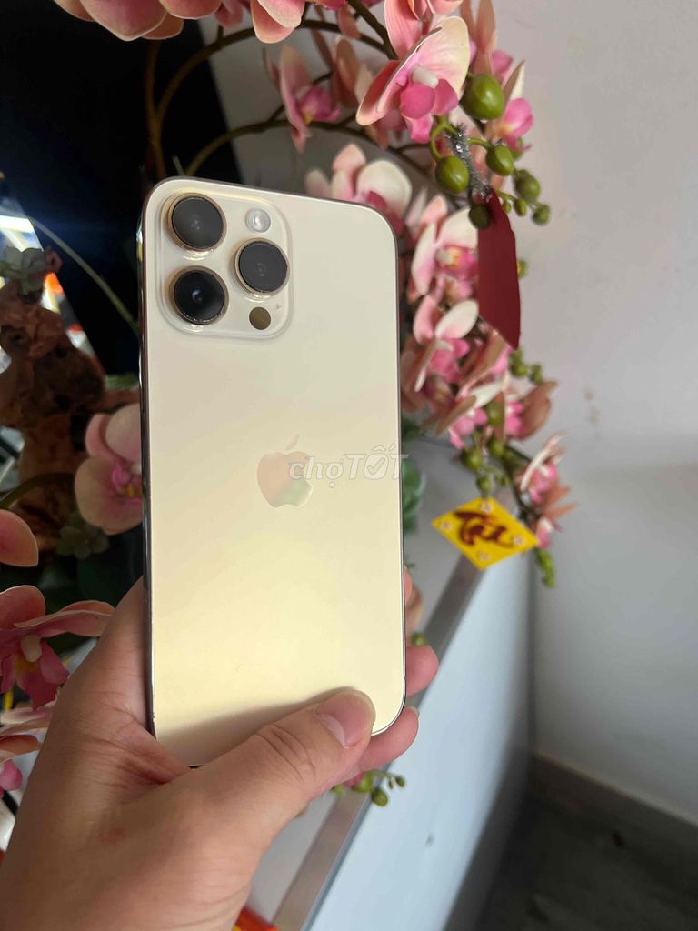 Apple iPhone 14 Pro Max 256GB  gold quốc tế. Mua bán Điện thoại tại Thành phố Buôn Ma Thuột Đắk Lắk được đăng bởi Tèo Điện Thoại  hình 1