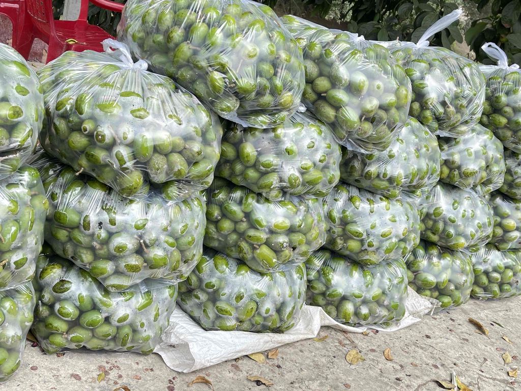 Cóc xanh chua thanh giòn rụm. Mua bán Đồ ăn, thực phẩm và các loại khác tại Huyện Chợ Mới An Giang được đăng bởi Trường Giang Mít Thái hình 1