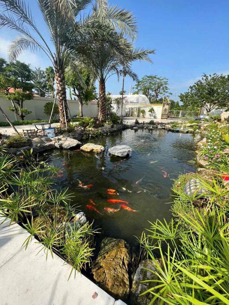 ĐẤT MẶT TIỀN 542M² AN SƠN 1 – ĐƯỜNG NHỰA 12M – GẦN CẢNG AN SƠN