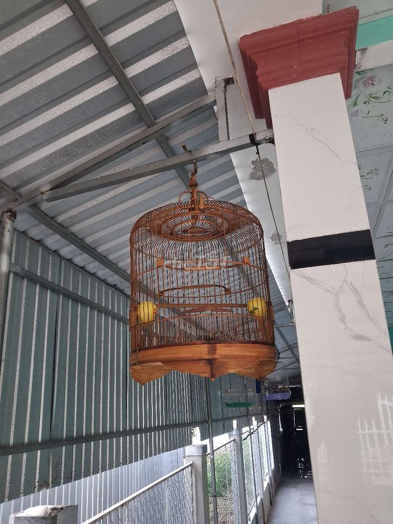 Lồng chim tre 40cm Mới. Mua bán Phụ kiện, Thức ăn, Dịch vụ tại Huyện Mỹ Tú Sóc Trăng được đăng bởi Trực Mỹ Tú  hình 1