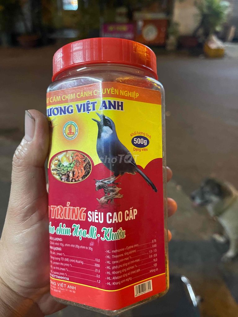 Mi khướu +. Mua bán Chim tại Quận Bình Thạnh Tp Hồ Chí Minh được đăng bởi heri hình 1