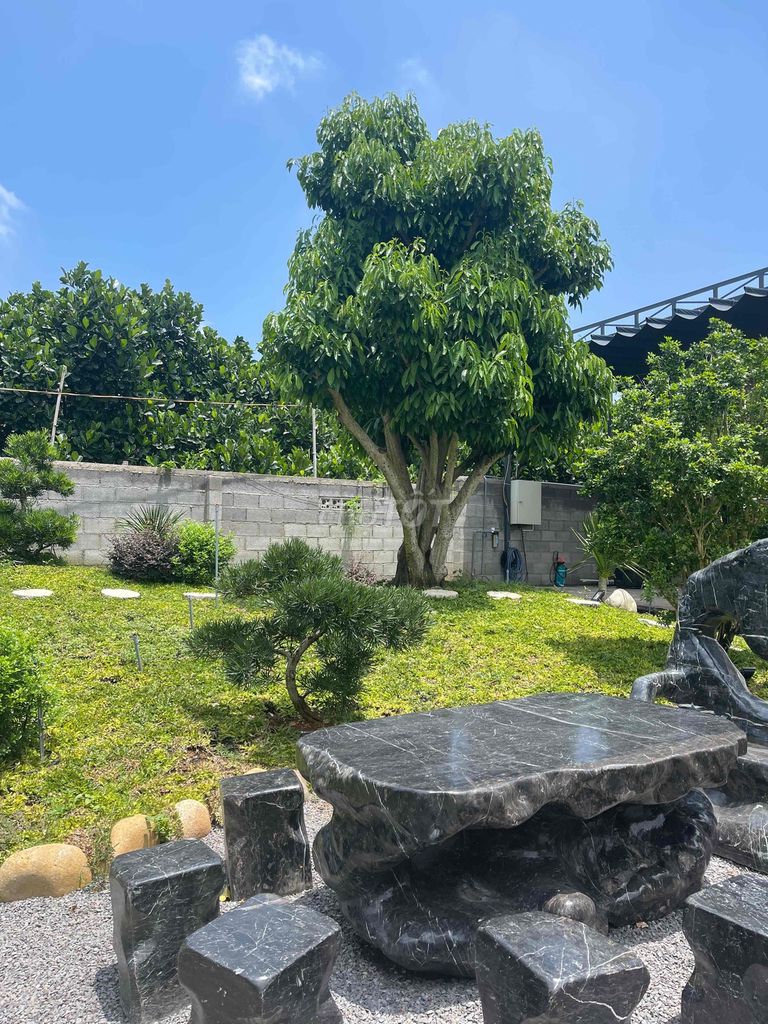 🌿 NHÀ VƯỜN LONG KHÁNH – SỐNG XANH, NGHỈ DƯỠNG MỖI NGÀY 🌿  🏡