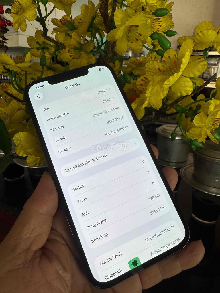 iPhone 12 prm 128G xanh Mỹ Đã sử dụng. Mua bán Điện thoại tại Thành phố Biên Hòa Đồng Nai được đăng bởi thanh hình 1