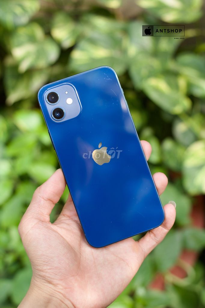 𝐢𝐏𝐡𝐨𝐧𝐞 12 64GB Xanh Dương Đẹp 99%