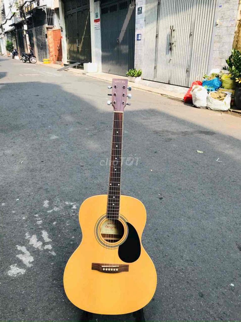 guitar acoutis honey bee f15N