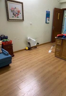 Căn hộ 48 m² · 1 PN · Chung cư CT11 Kim Văn Kim Lũ (Tòa E)