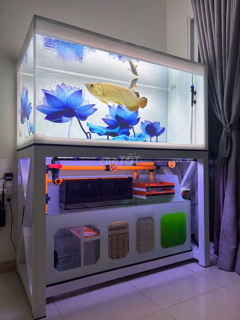 Hồ Công Nghệ Mới 4lớp đáy kính siêu trong133x68x68
