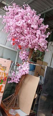Cây đào cảnh trang trí. Mua bán Cây cảnh, đồ trang trí tại Huyện Bình Chánh Tp Hồ Chí Minh được đăng bởi BA