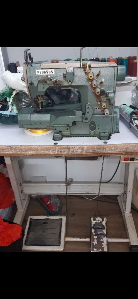 Máy may công nghiệp Pegasus Xanh rêu. Mua bán Đồ chuyên dụng, Giống nuôi trồng tại Quận Hải An Hải Phòng được đăng bởi minh tuan hình 1