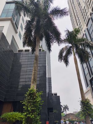 chinh chủ bán căn hộ cao cấp 3ng, 2vs, 132m, giác 10ty