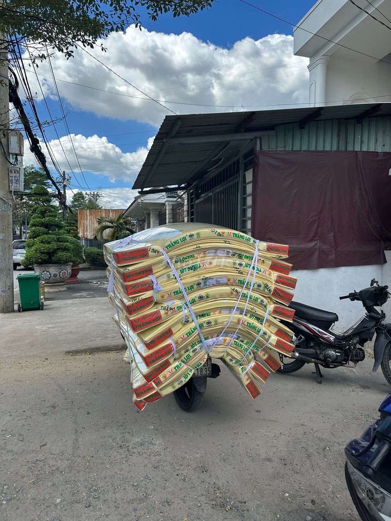 Nệm Thắng Lợi Nệm gấp Vàng kem. Mua bán Giường, chăn ga gối nệm tại Huyện Hóc Môn Tp Hồ Chí Minh được đăng bởi CÔNG TY TNHH NỆM THẮNG LỢI hình 1