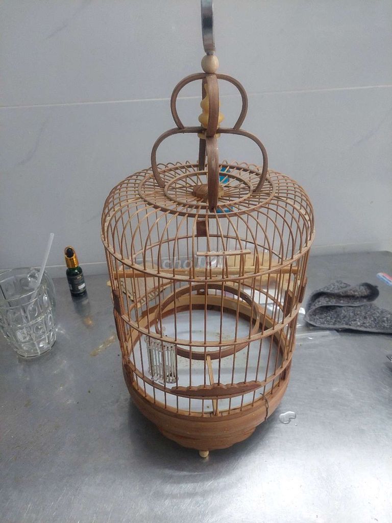Lồng chim vành khuyên gl lồng ốc mít hoặc bán. Mua bán Chim tại Quận 6 Tp Hồ Chí Minh được đăng bởi HEO QUAY DA DÍNH NẠC hình 1