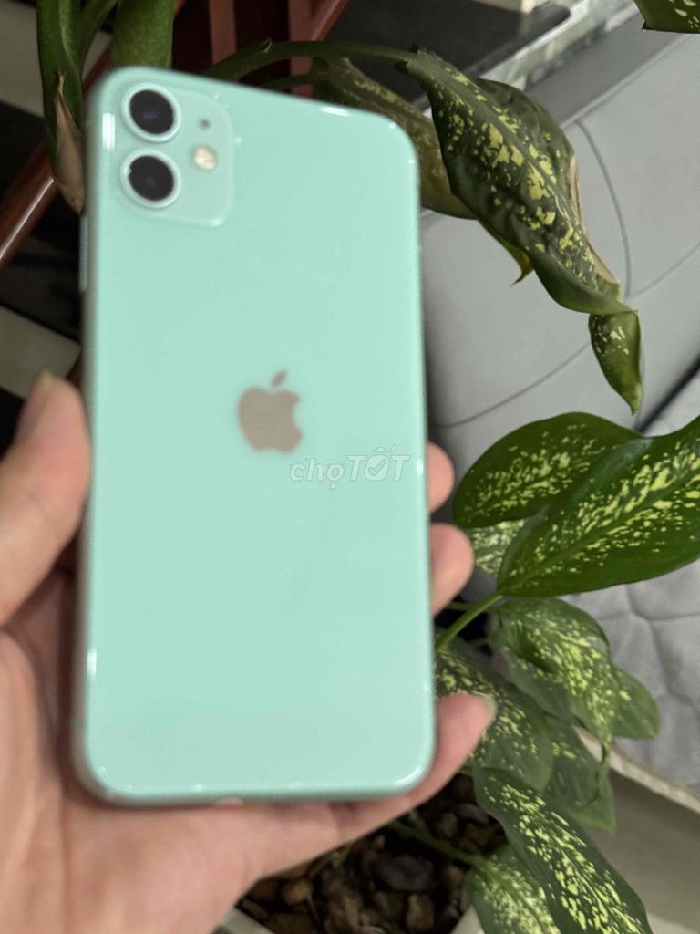 iPhone 11 64GB Xanh ngọc. Mua bán Điện thoại tại Huyện Vĩnh Tường Vĩnh Phúc được đăng bởi đời phiêu lãng hình 1