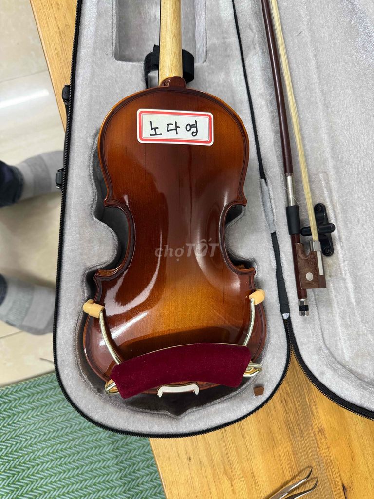 đàn violin