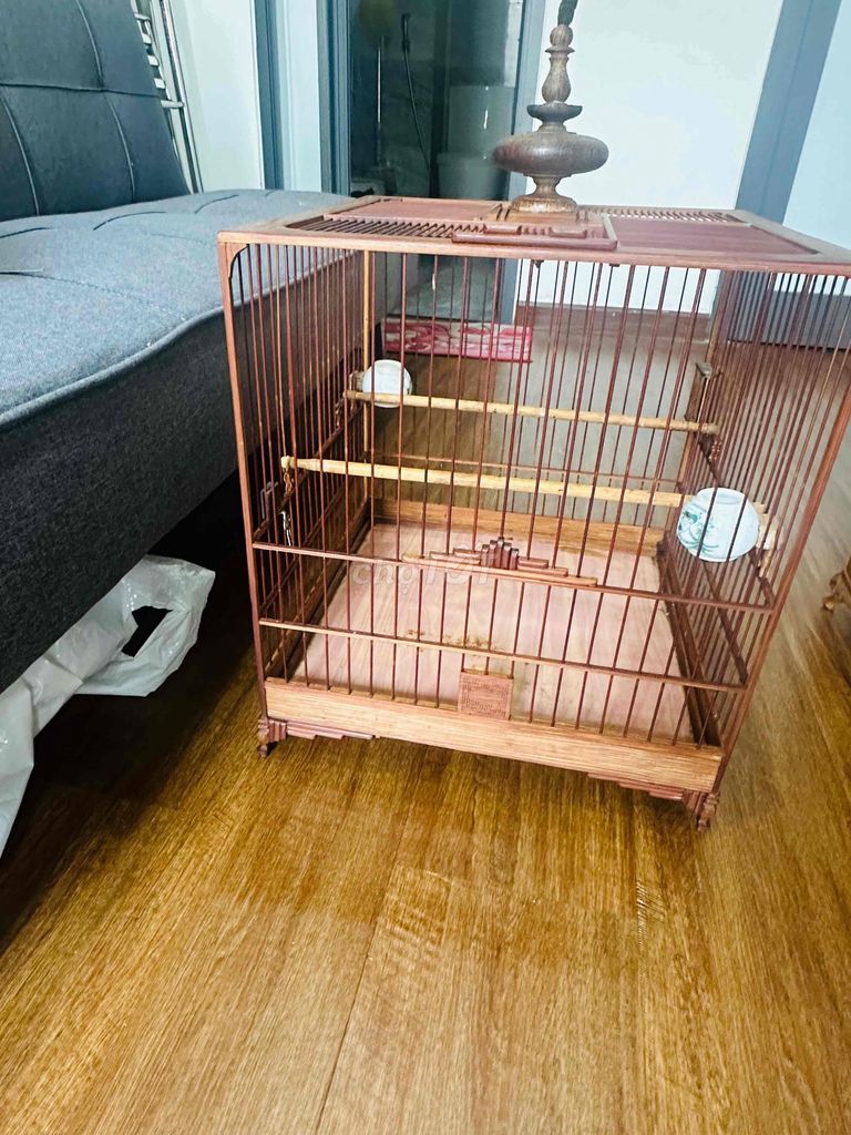 3 lòng chào mào .2lòng hút mật. Mua bán Phụ kiện, Thức ăn, Dịch vụ tại Quận Hải Châu Đà Nẵng được đăng bởi Ho vu Hưng hình 1